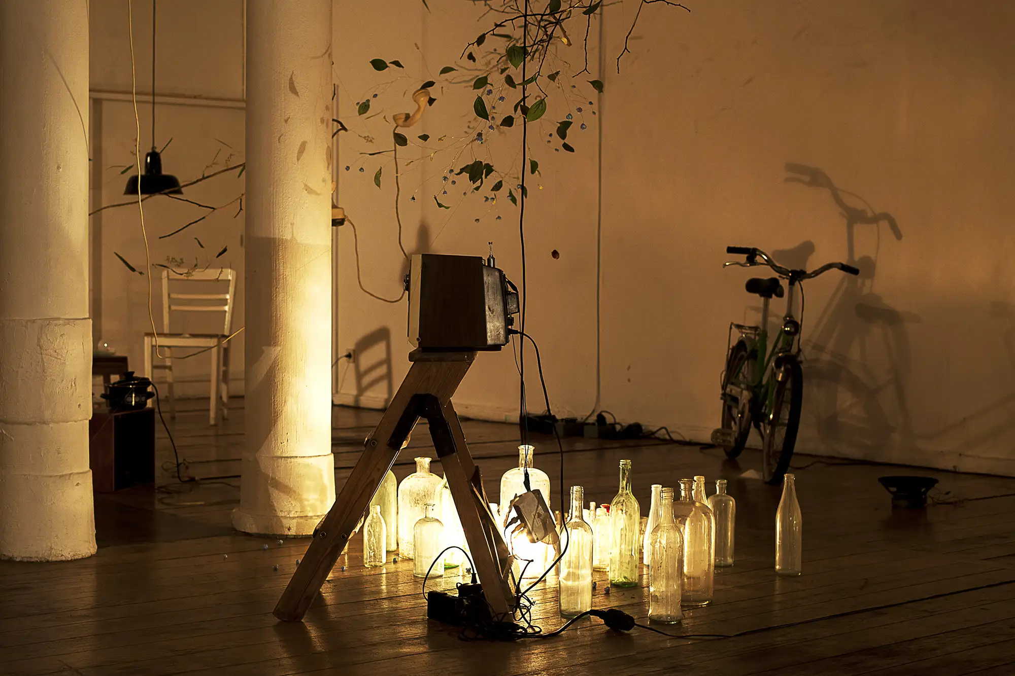 chasing little pasts_TWS detail